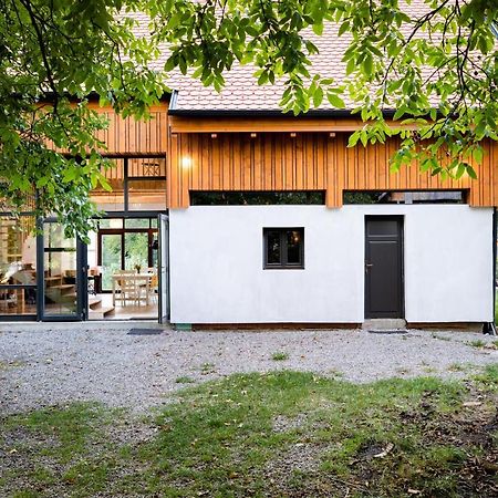 Bed and Breakfast Aster Panzio Cimpu Cetatii Экстерьер фото