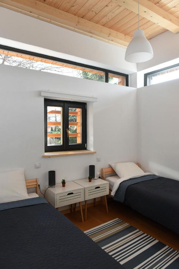 Bed and Breakfast Aster Panzio Cimpu Cetatii Экстерьер фото