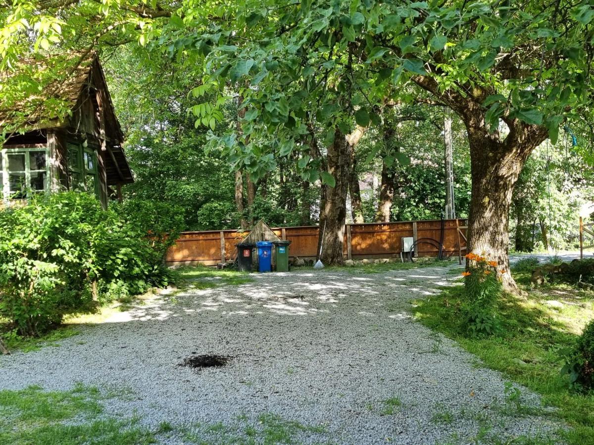 Bed and Breakfast Aster Panzio Cimpu Cetatii Экстерьер фото