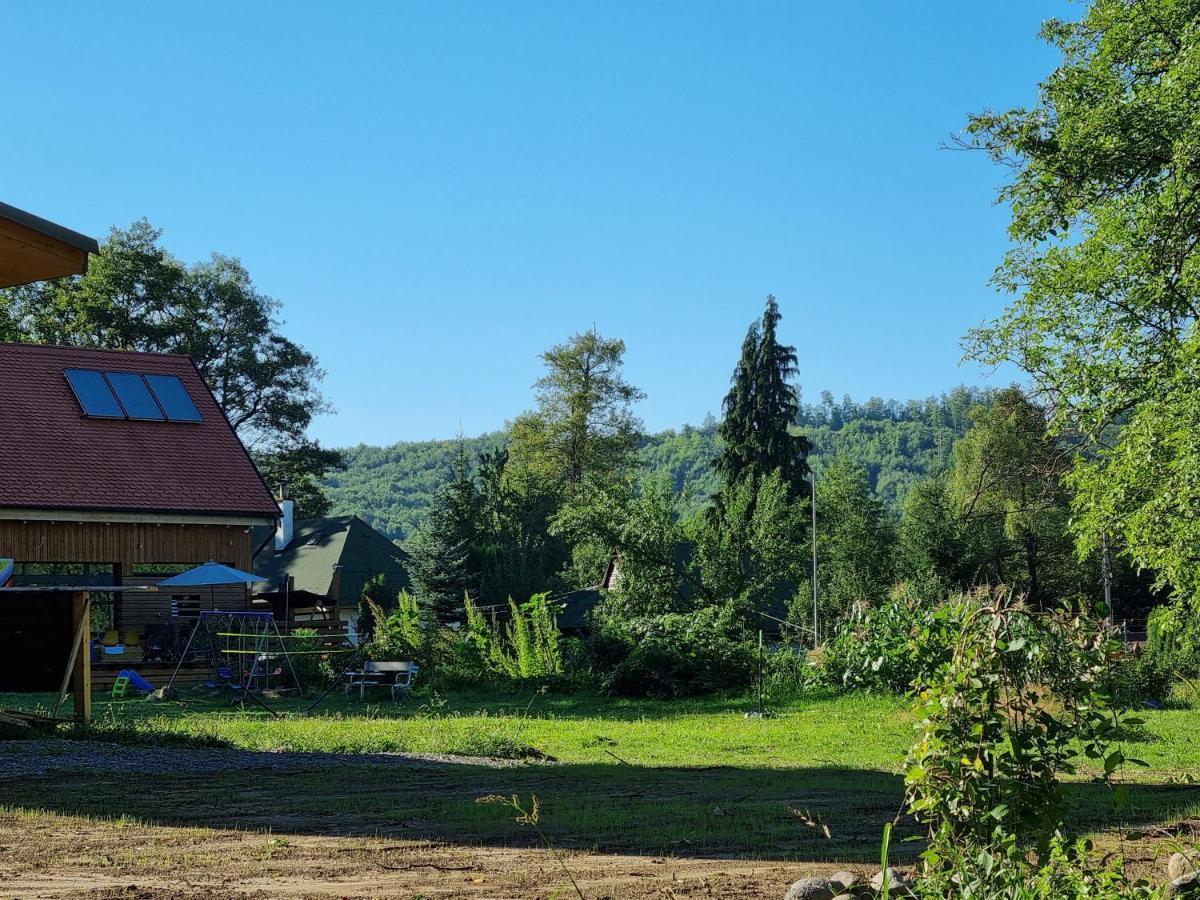 Bed and Breakfast Aster Panzio Cimpu Cetatii Экстерьер фото