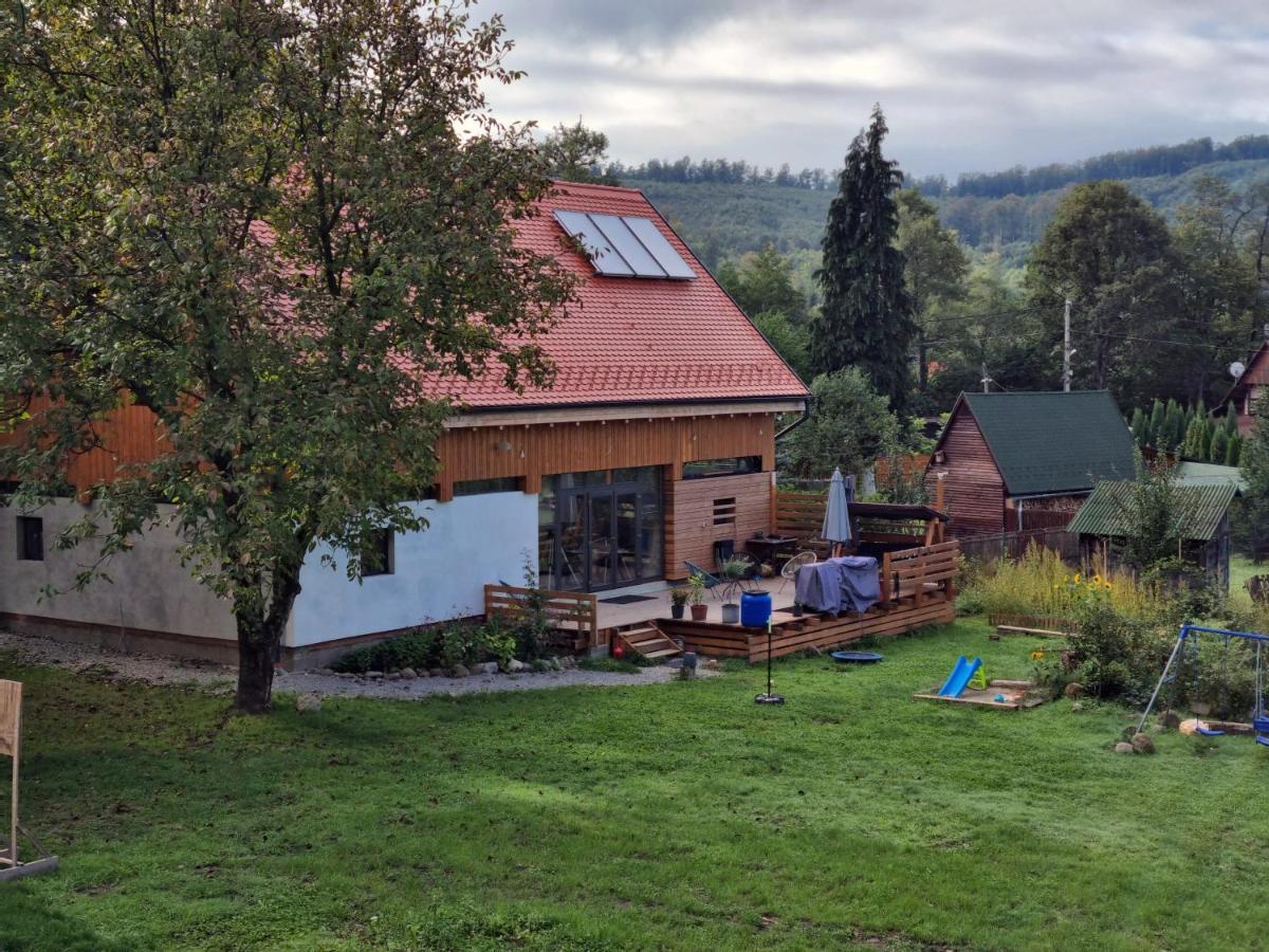 Bed and Breakfast Aster Panzio Cimpu Cetatii Экстерьер фото