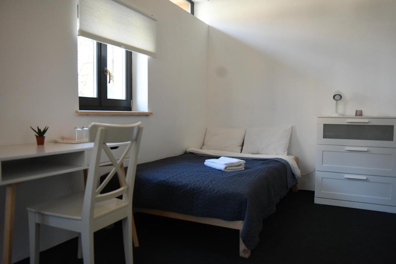 Bed and Breakfast Aster Panzio Cimpu Cetatii Экстерьер фото