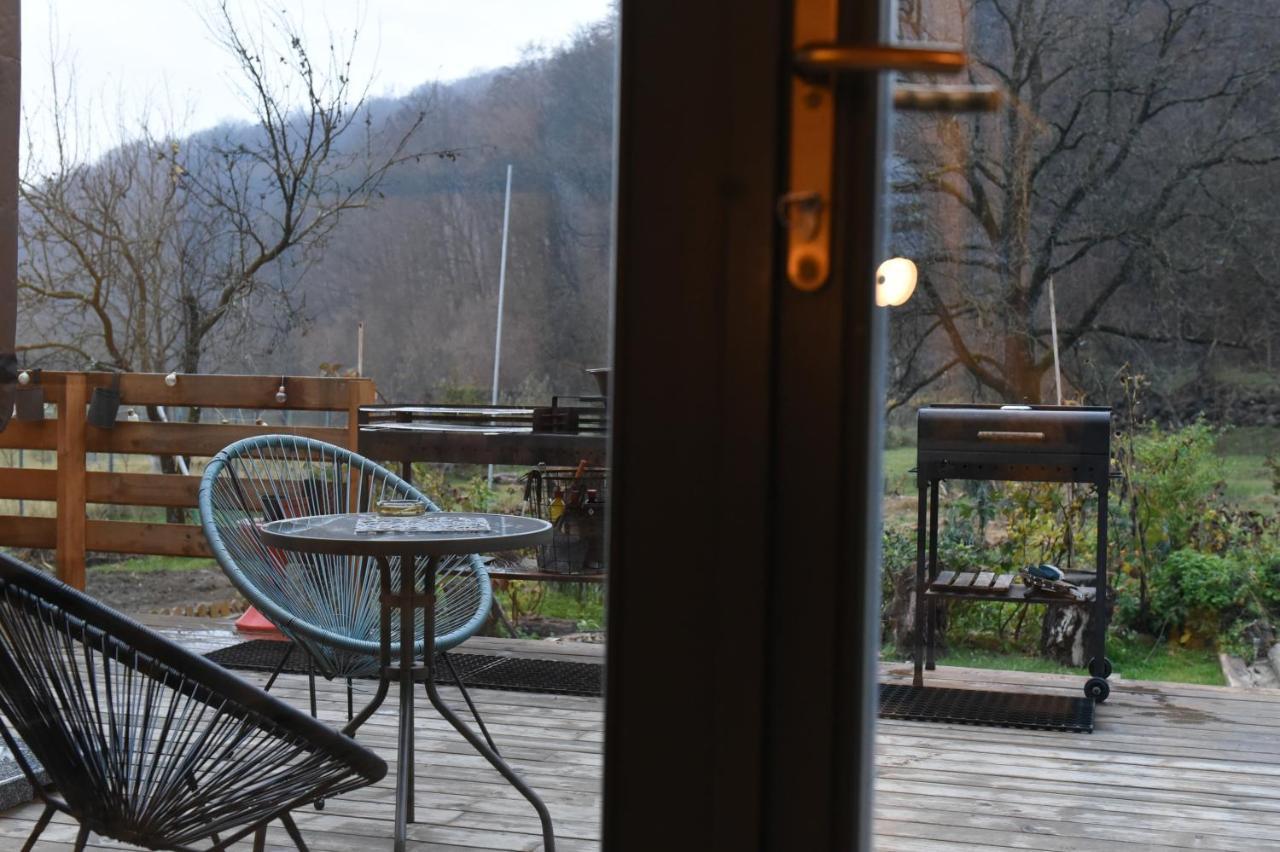 Bed and Breakfast Aster Panzio Cimpu Cetatii Экстерьер фото