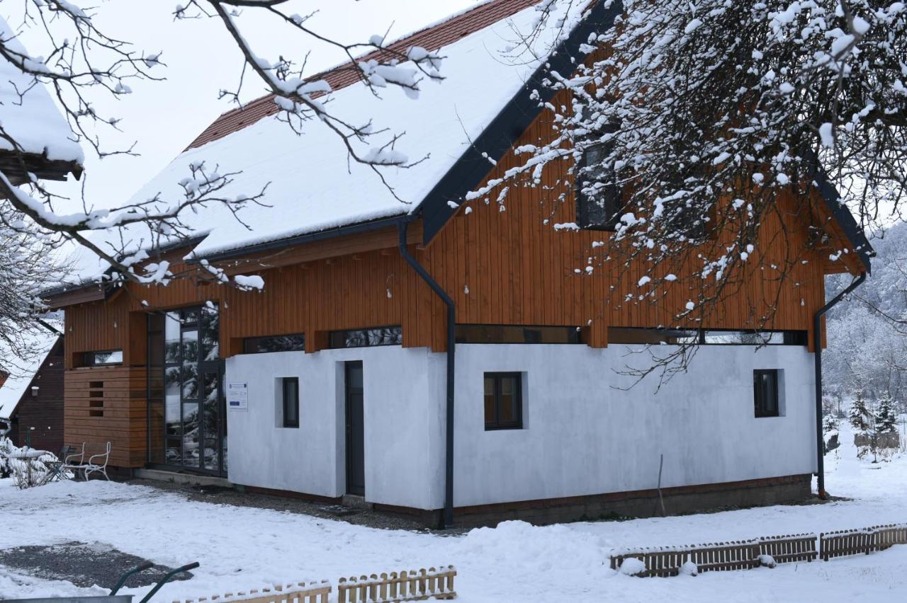 Bed and Breakfast Aster Panzio Cimpu Cetatii Экстерьер фото