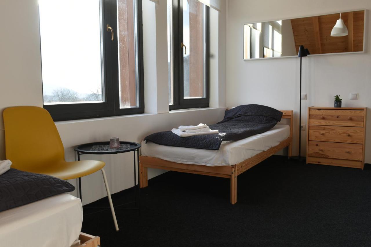 Bed and Breakfast Aster Panzio Cimpu Cetatii Экстерьер фото