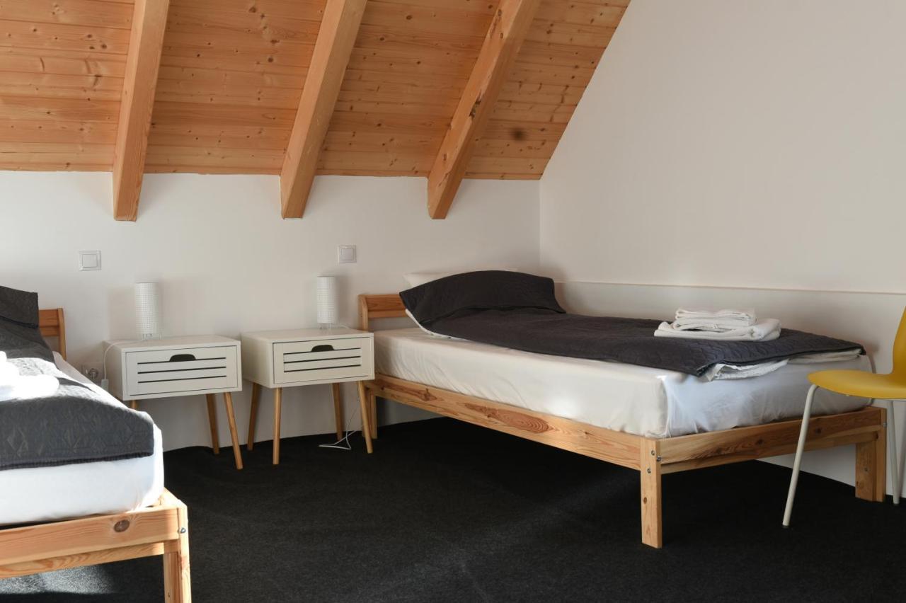 Bed and Breakfast Aster Panzio Cimpu Cetatii Экстерьер фото