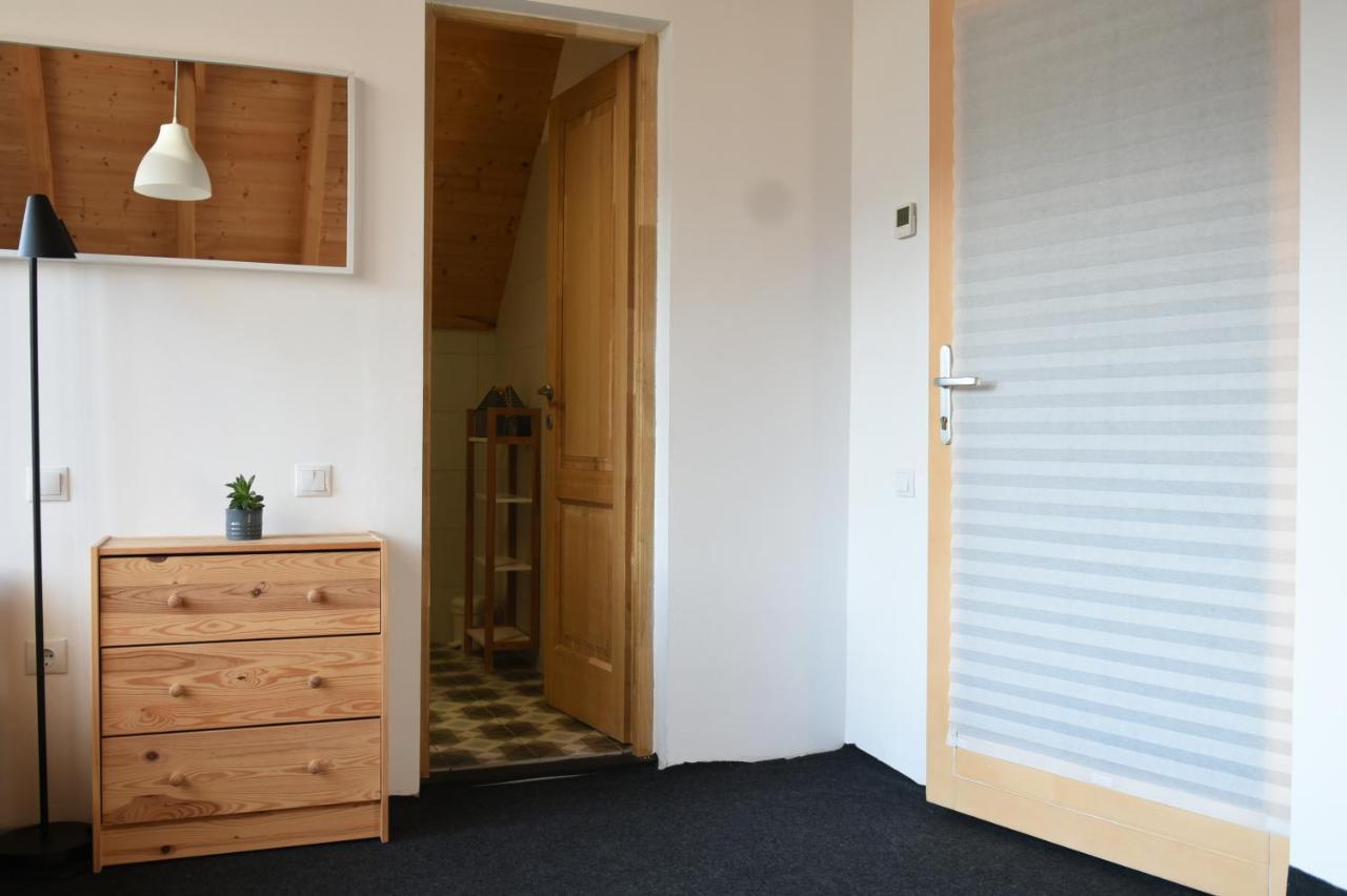 Bed and Breakfast Aster Panzio Cimpu Cetatii Экстерьер фото